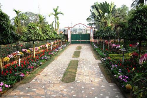 Hotel Rater Tara Diner Rabi Resort