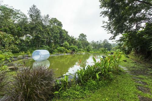 Hotel The Windflower Resort & Spa, Coorg