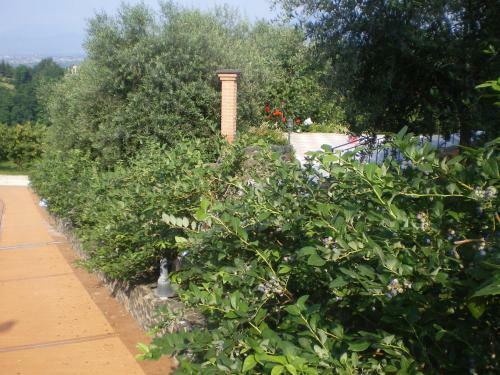 Agroturismo Tenuta Fortelongo