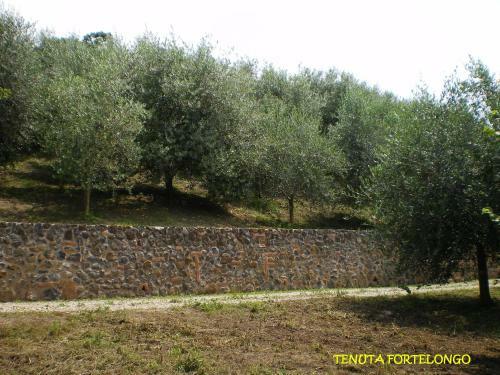 Agroturismo Tenuta Fortelongo