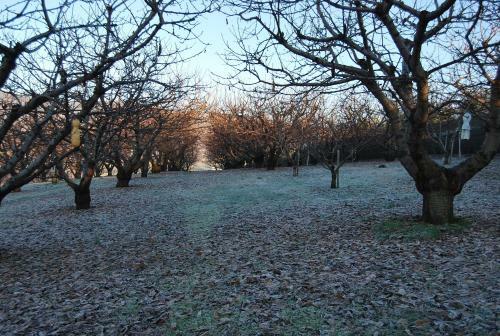 Agroturismo Tenuta Fortelongo