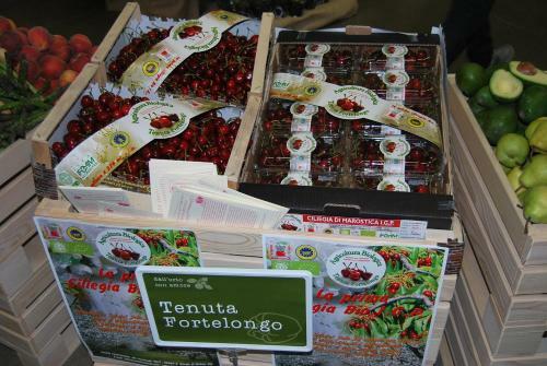 Agroturismo Tenuta Fortelongo
