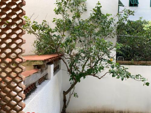 Apartamento Pivarada 50