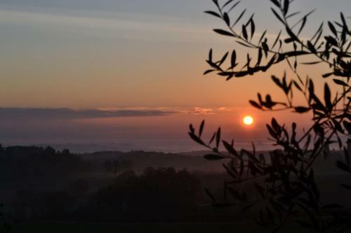 Hostal Podere Ficareto Farm