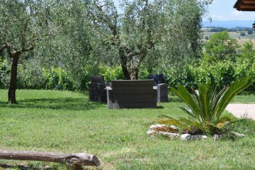 Agroturismo Agriturismo Casale Contessa