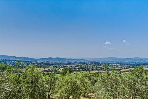 Poggio Del Gallo 10