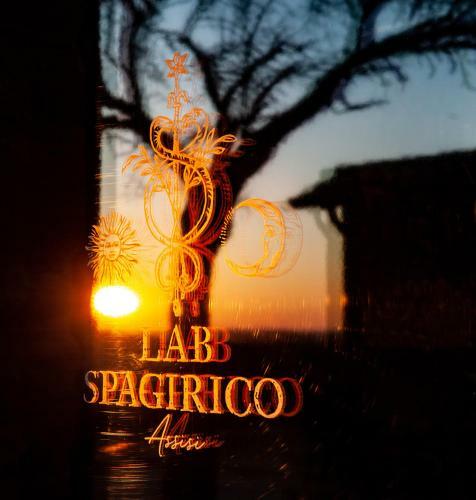 Agroturismo Borgo Antichi Orti Assisi
