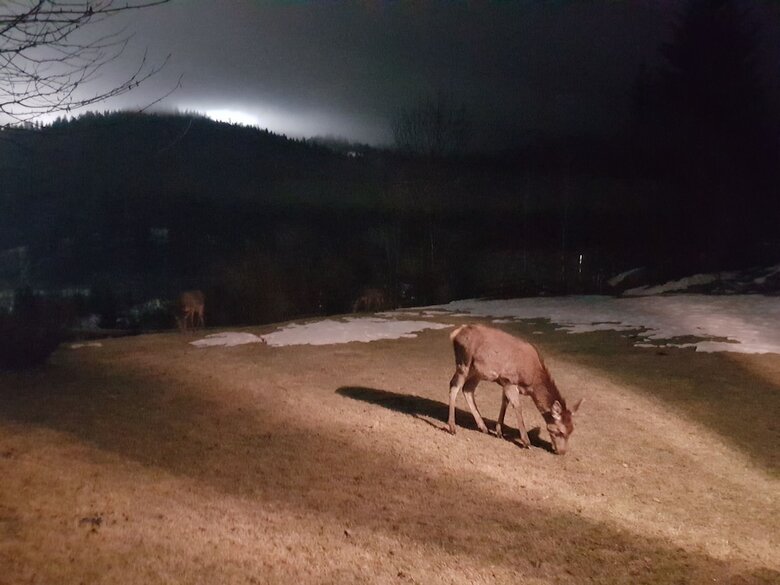 La Lince Lodge