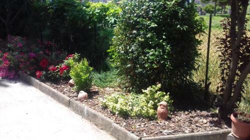 B&B Casa Losea
