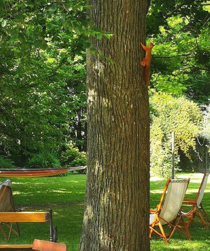 Agroturismo Al Canton Agriturismo Di Design