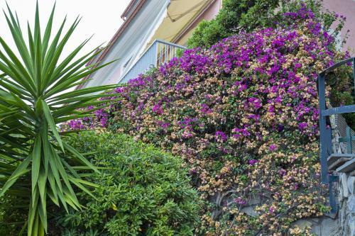 Apartamento Casa Bianca A Bogliasco By Wonderful Italy