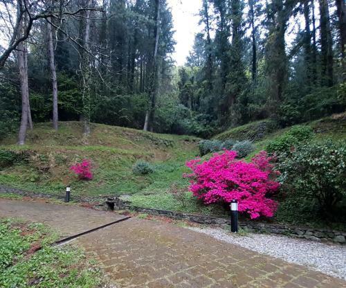 Il Bosco Di Campo Marzano Garden Apartment