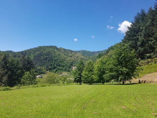 Il Bosco Di Campo Marzano Garden Apartment