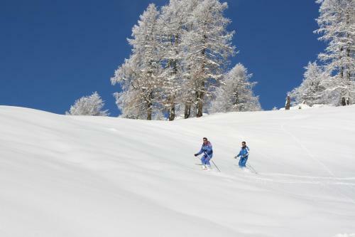 Camping Al Plan Dolomites