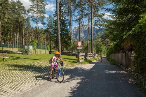 Camping Al Plan Dolomites