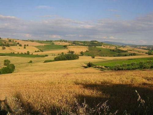 Castiglione Del Lago Villa Sleeps 12 Pool