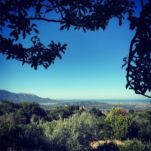 Bed & Breakfast Casale Degli Ulivi Prestige