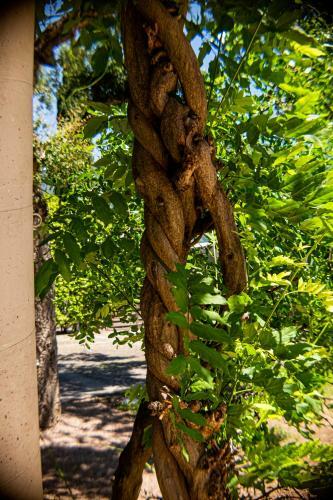 Apartamento La Villetta N�17