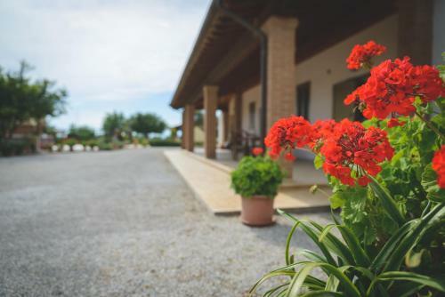 Agroturismo Corte Degli Angeli