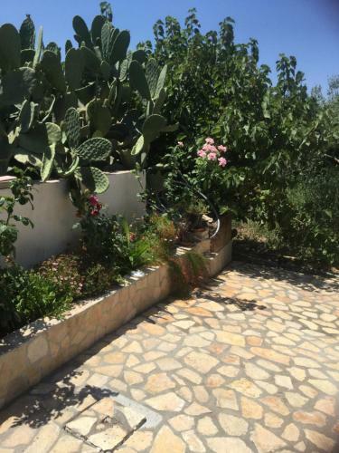 Agroturismo Casa Vacanze Cardilla