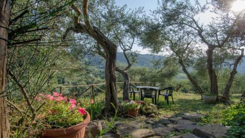 Montelaterone Villa Sleeps 10 Pool Air Con