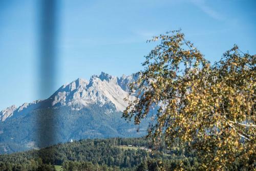 Apartamento Feldhof - Flower Latemar 113-2p