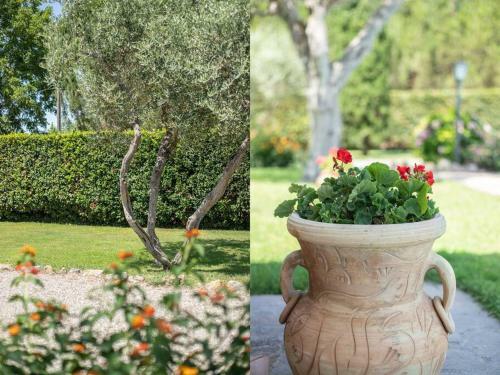 Villaflair - Cottage Orbetello