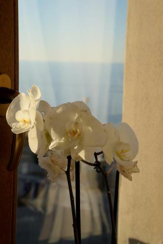 Bed & Breakfast Torre Della Loggia - Dimora Storica - Ortona