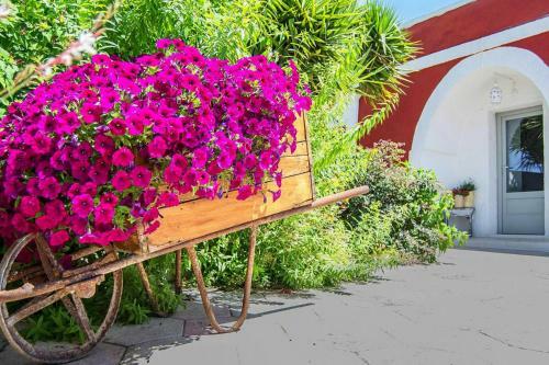 Holiday Home Ostuni - Iap02105g-f