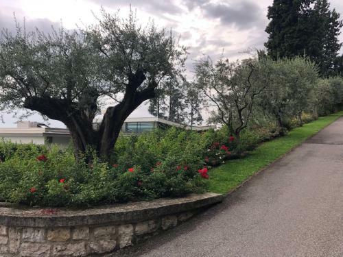 Apartamento Residence Gardazzurro Lago Di Garda