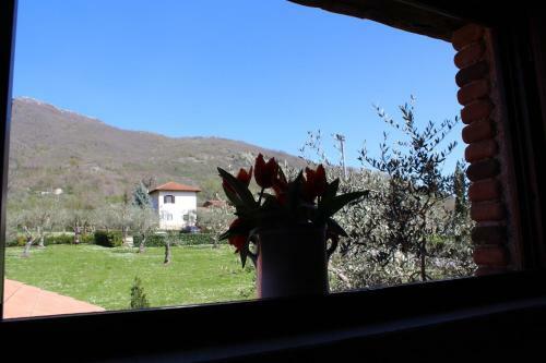 Agroturismo Agriturismo Il Castagneto