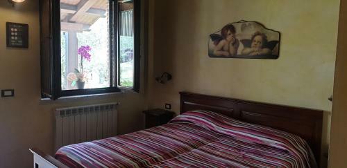 Agroturismo Agriturismo Il Castagneto