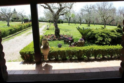 Agroturismo Agriturismo Il Castagneto