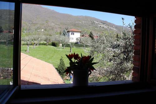 Agroturismo Agriturismo Il Castagneto