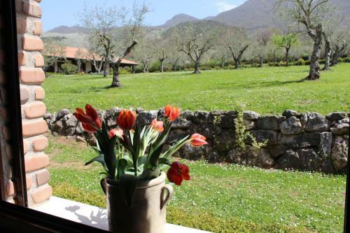 Agroturismo Agriturismo Il Castagneto