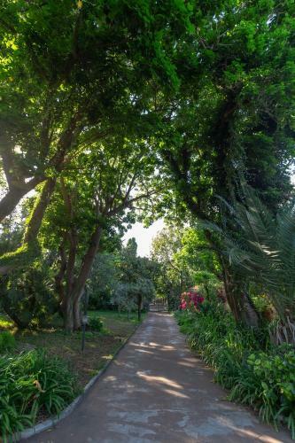 Villa Domus Sicily - Il Giardino Di Michela