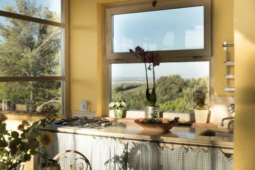 Apartamento Agriturismo Degli Alpaca