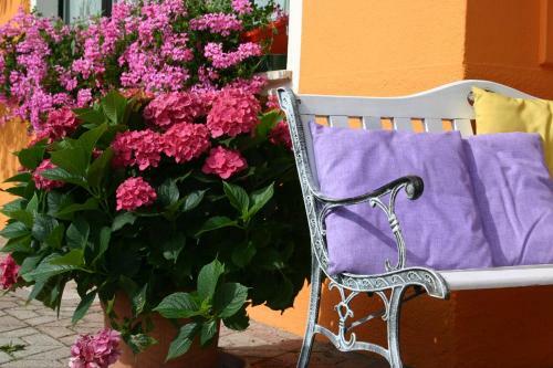 Hotel Passo Buole