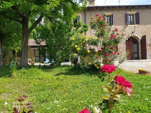 Bed & Breakfast La Rosa Selvatica