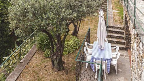 Entire Villa With Pool In Recco Cinque Terre