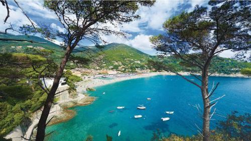 Entire Villa With Pool In Recco Cinque Terre