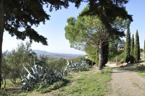 Agroturismo Agriturismo La Colombera