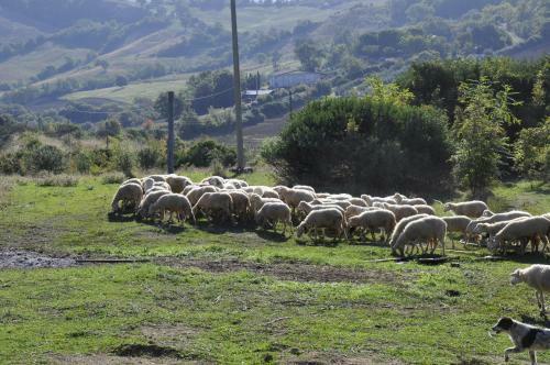 Agroturismo Agriturismo La Colombera