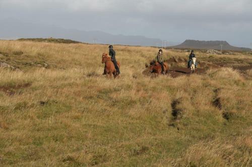 Snorrastadir Farm Holidays