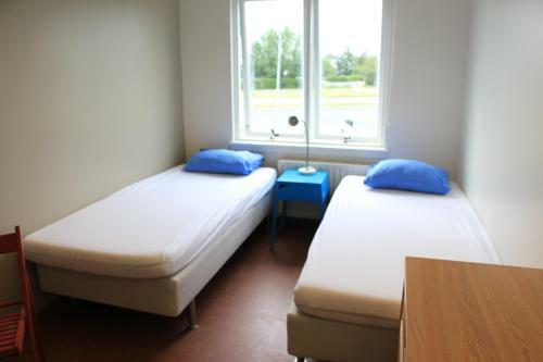 Lava Hostel