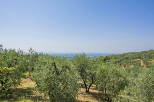 Apartamento Altido La Casetta Sulla Collina, Il Leccio