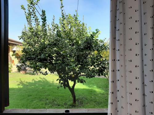 Agroturismo Agriturismo Podere Bedin