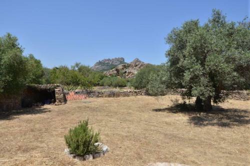 Tipico Stazzu A San Pantaleo