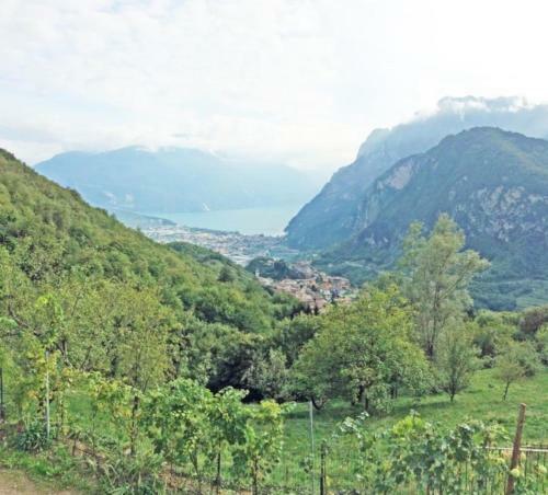 Villa Bellavista Tenno ? Gardasee