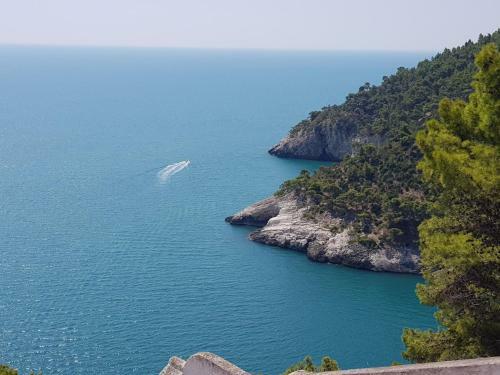 Hostal Villa Cala Della Pergola
